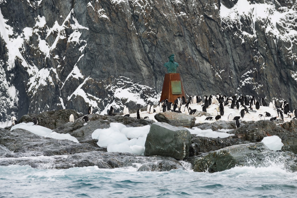 Chinstrap penguins not impressed by the Chilean Navy